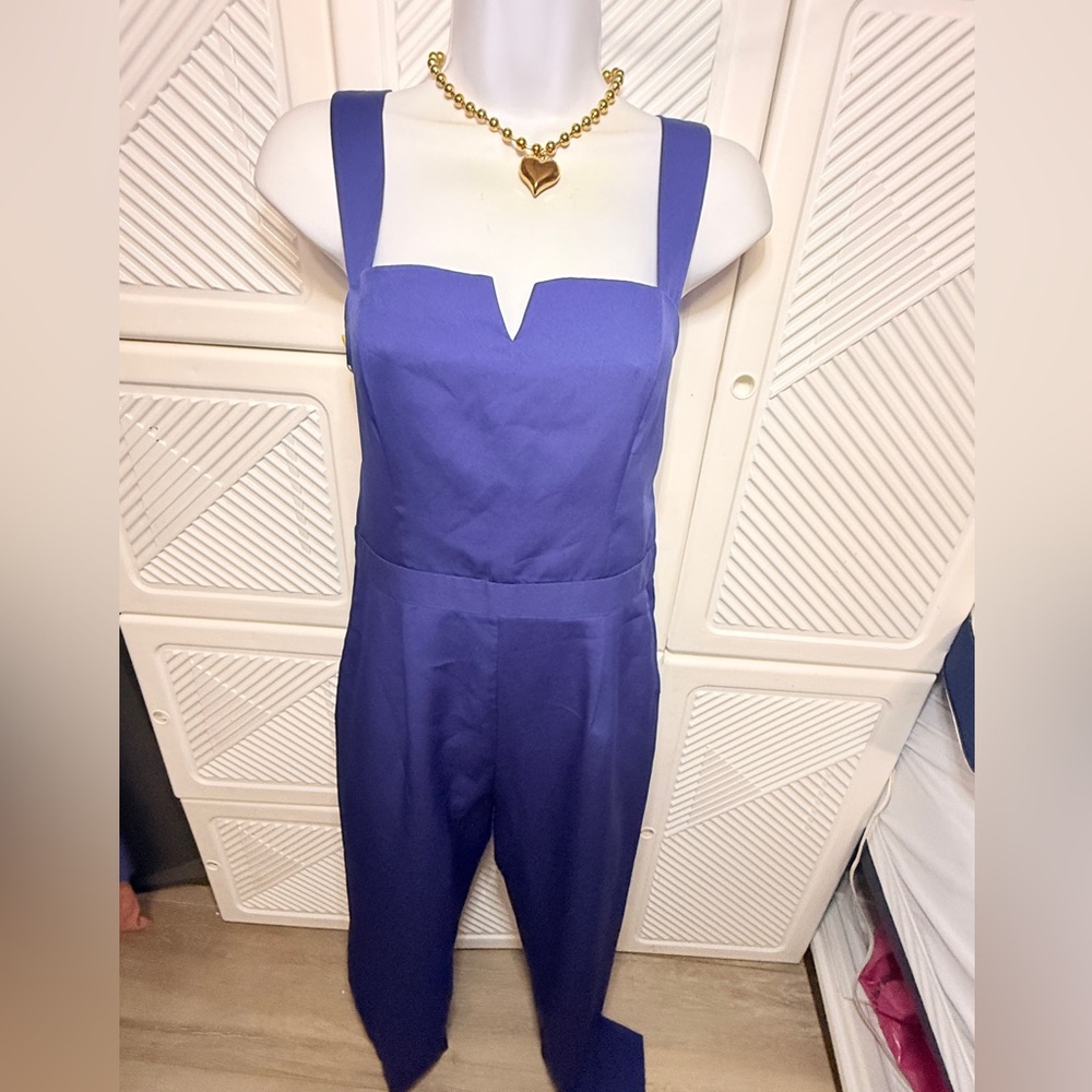 Elegant Blue Jumpsuit